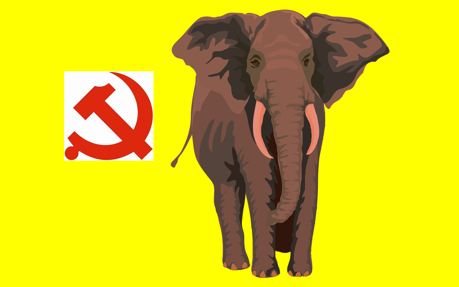 The Elephant In The Room – The Chinese Communist Party